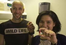 Inventan biosensor que detecta VIH apenas una semana de haberse contraído