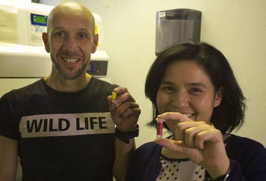 Inventan biosensor que detecta VIH apenas una semana de haberse contraído