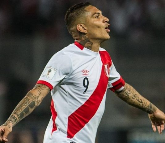 Paolo Guerrero se sale con la suya y va al Mundial