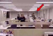 Sin el jefe en la oficina, fuera estrés. O cuando el gato no está los ratones hacen fiesta (Video)