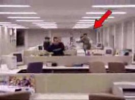 Sin el jefe en la oficina, fuera estrés. O cuando el gato no está los ratones hacen fiesta (Video)