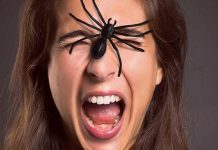 Especial «Fobias Extrañas» (Parte 2) en Desconecta2 (Podcast)