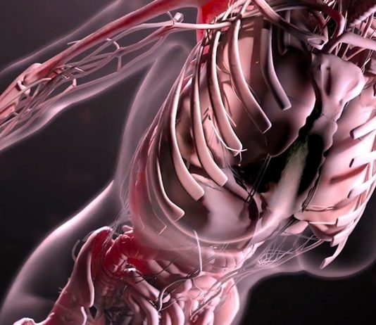 #Tecnología Superordenador para crear humanos virtuales para experimentar con medicinas