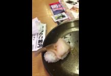 #Video ¿Escapando vivo del plato? El sushi que estaba tan fresco ¡qué estaba vivo!
