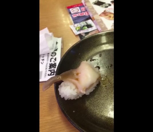 #Video ¿Escapando vivo del plato? El sushi que estaba tan fresco ¡qué estaba vivo!