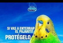 🤣🤣 Chimuelo, el primer viral de 2019 (Video) 🤣🤣